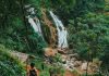 cái đẹp của Mai Châu chính là hành trình trên đường đi với khung cảnh mơ mộng ẩn sau những dãy núi, cánh rừng không tên không tuổi. Nguồn bài viết: https://www.khamphadisan.com/top-nhung-diem-den-nhat-dinh-phai-di-trong-mua-he-nay-o-mien-bac/