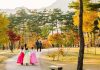 Du lịch Hàn Quốc - Khám phá khí hậu và những điểm đến hấp dẫn
