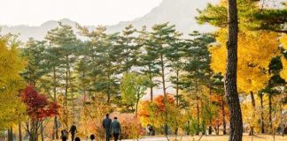 Du lịch Hàn Quốc - Khám phá khí hậu và những điểm đến hấp dẫn