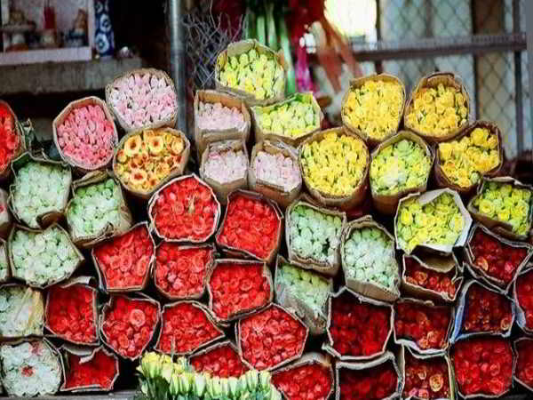 Tham quan chợ hoa Hồ Thị Kỷ giữa lòng Sài Gòn