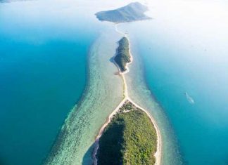 Khám phá vẻ đẹp hoang sơ mới lạ của đảo Điệp Sơn