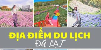 Du lịch Đà Lạt không nên bỏ qua bỏ qua những địa điểm nào?
