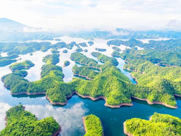 Vườn Quốc gia Tà Đùng