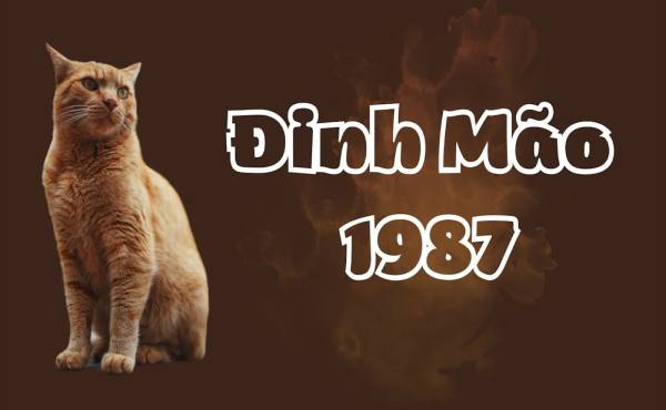 đinh mão