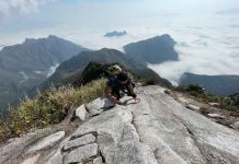 Giới thiệu về Bạch Mộc Lương Tử