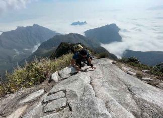 Giới thiệu về Bạch Mộc Lương Tử