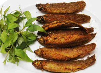 cá chạch quế làm món gì ngon