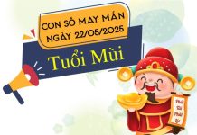 Con số dẫn lối thành công tuổi Mùi ngày 22/5/2025