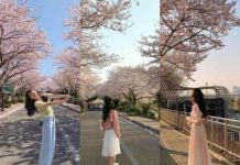 Gợi ý trang phục du lịch Hàn Quốc tháng 4 chuẩn đẹp