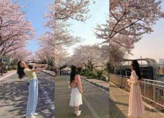 Gợi ý trang phục du lịch Hàn Quốc tháng 4 chuẩn đẹp