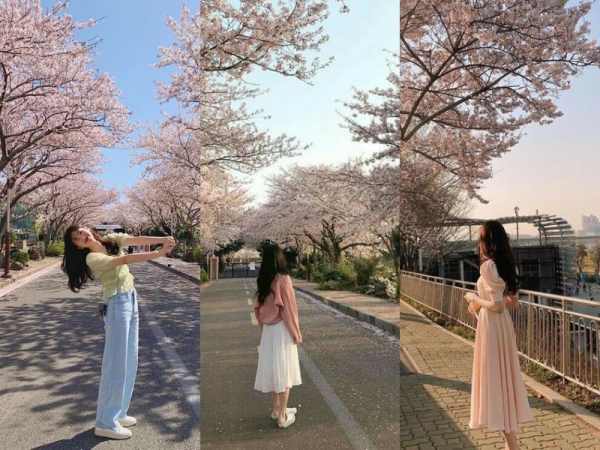 Gợi ý trang phục du lịch Hàn Quốc tháng 4 chuẩn đẹp