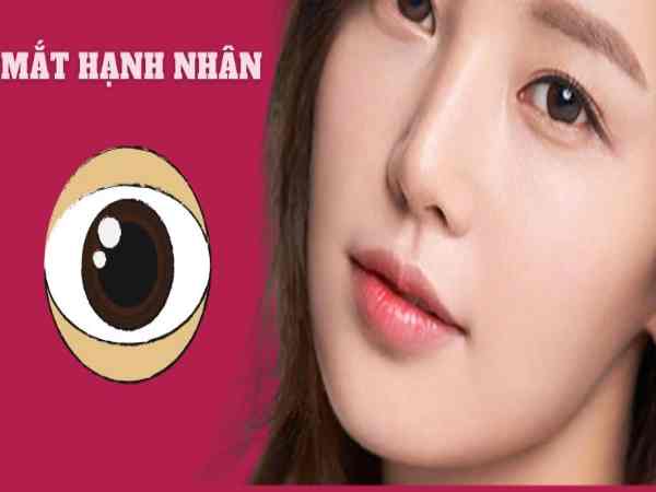Tướng mệnh người sở hữu mắt hạnh nhân