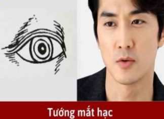 Tướng mắt hạc nam nữ dấu hiệu phú quý và số mệnh ra sao? tướng mắt hạc