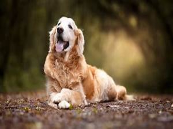 Con số may mắn tuổi Giáp Tuất ngày 31/12/2025 theo thời tiết Con số may mắn tuổi Giáp Tuất ngày 31/12/2025 theo thời tiết