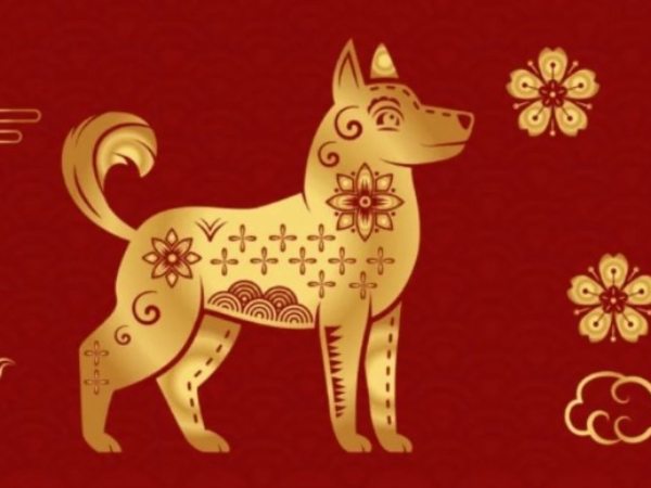 Tổng quan vận trình tuổi Nhâm Tuất ngày 3/1/2025