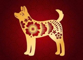 Tử vi con số tài lộc tuổi Canh Tuất Chủ Nhật ngày 8/2