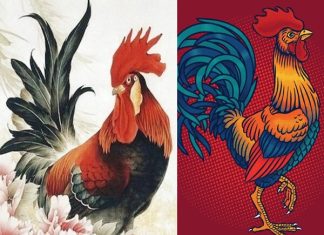  Con số may mắn tuổi Dậu 26/3/2026