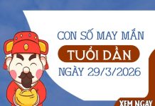 con số may mắn ngày 29/03/2026 tuổi Dần