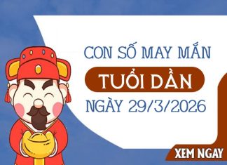 Ẵm lộc vàng với con số may mắn ngày 29/03/2026 tuổi Dần con số may mắn ngày 29/03/2026 tuổi Dần