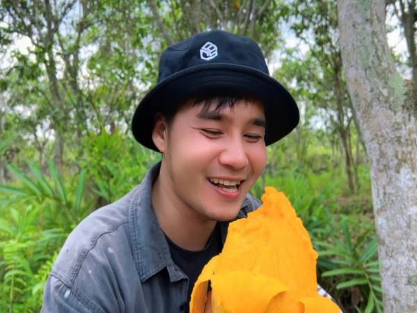 Nằm mơ thấy hái xoài chín có ý nghĩa gì?