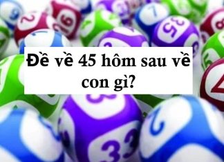 Dự đoán đề về 45 hôm sau đánh con gì theo các phương pháp khác