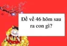 đề về 46 hôm sau đánh con gì