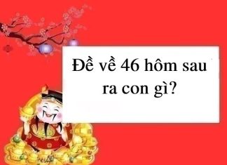 đề về 46 hôm sau đánh con gì