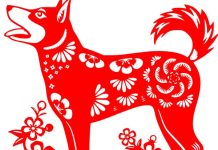 Hé lộ con số may mắn ngày 5/4/2026 tuổi Tuất cực chuẩn con số may mắn ngày 5/4/2026 tuổi Tuất