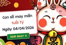 con số may mắn ngày 04/04/2026 tuổi Tý