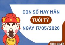 Vượng phát với con số may mắn ngày 17/05/2026 tuổi Tý con số may mắn ngày 17/05/2026 tuổi Tý