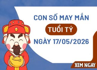 con số may mắn ngày 17/05/2026 tuổi Tý