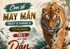 Con số may mắn ngày 9 tháng 6 thứ 3 của tuổi Dần
