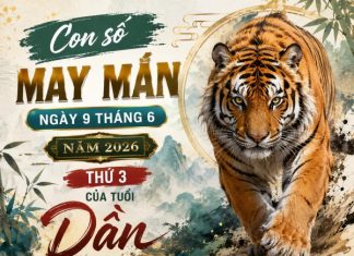 Con số may mắn ngày 9 tháng 6 thứ 3 của tuổi Dần