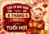 Con số may mắn ngày 8 tháng 6 thứ 2 của tuổi Hợi