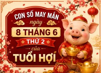 Con số may mắn ngày 8 tháng 6 thứ 2 của tuổi Hợi