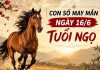 Con số may mắn ngày 16/6 tuổi Ngọ rước tài lộc ngày thứ 3