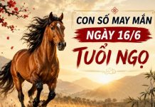 Con số may mắn ngày 16/6 tuổi Ngọ rước tài lộc ngày thứ 3